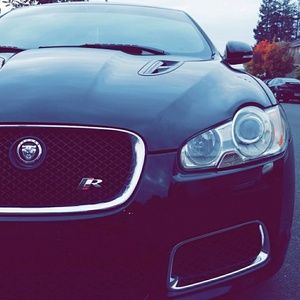 Meet your Posher, Dee